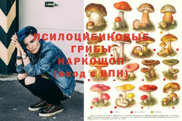 прущая мука Абаза