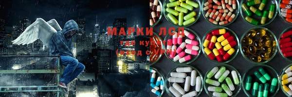 spice Осинники